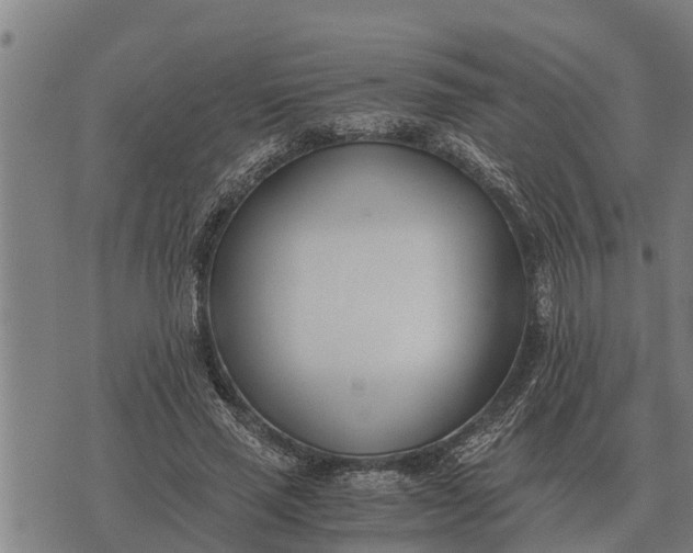 X0000073900637200609011719