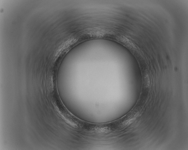 X0000073900638200609011719