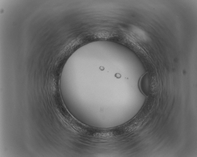 X0000073900639200609011719