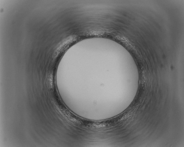 X0000073900640200609011719