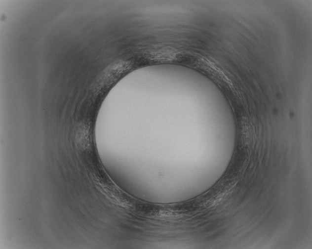 X0000073900641200609011719