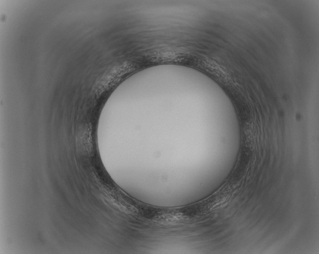 X0000073900642200609011719