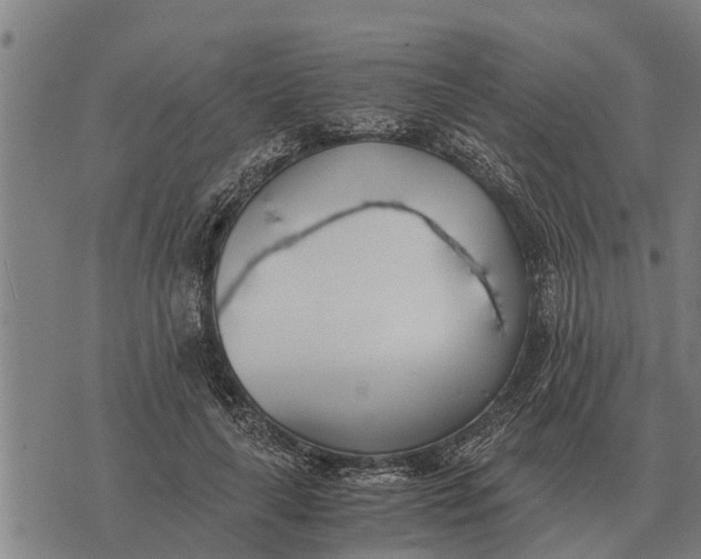 X0000073900643200609011719