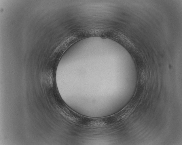 X0000073900644200609011719