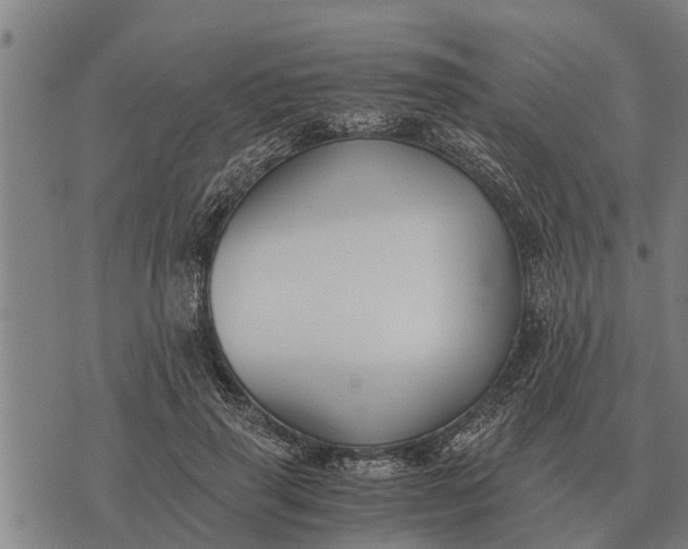 X0000073900645200609011719