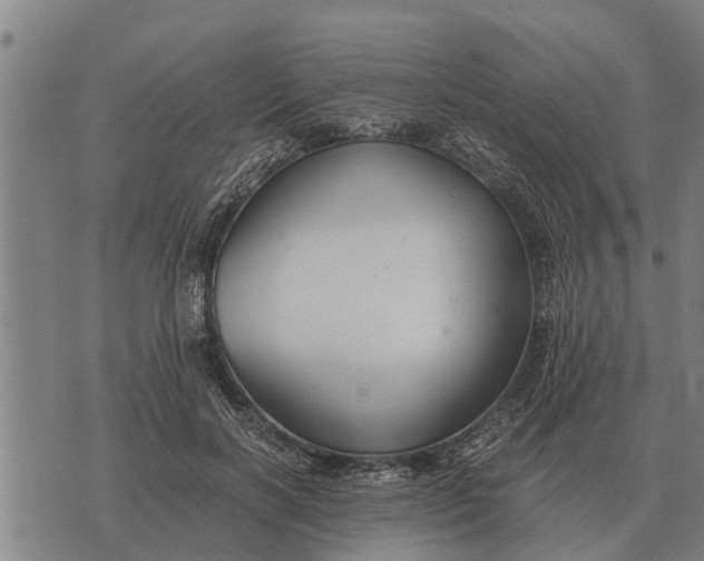 X0000073900646200609011719