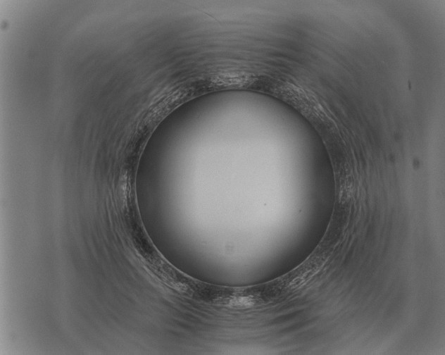 X0000073900647200609011719