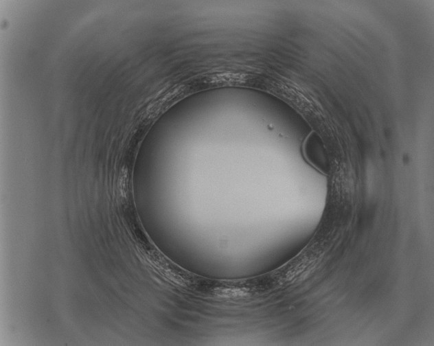 X0000073900649200609011719