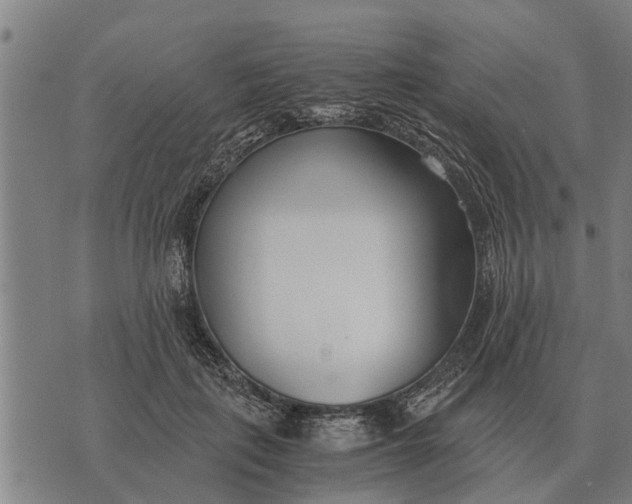 X0000073900651200609011719