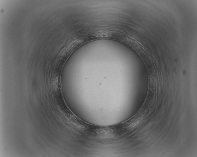 X0000073900652200609011719