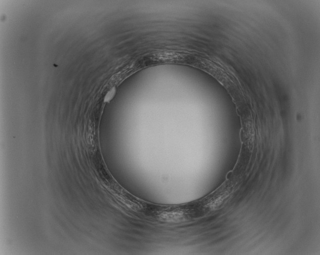 X0000073900653200609011719