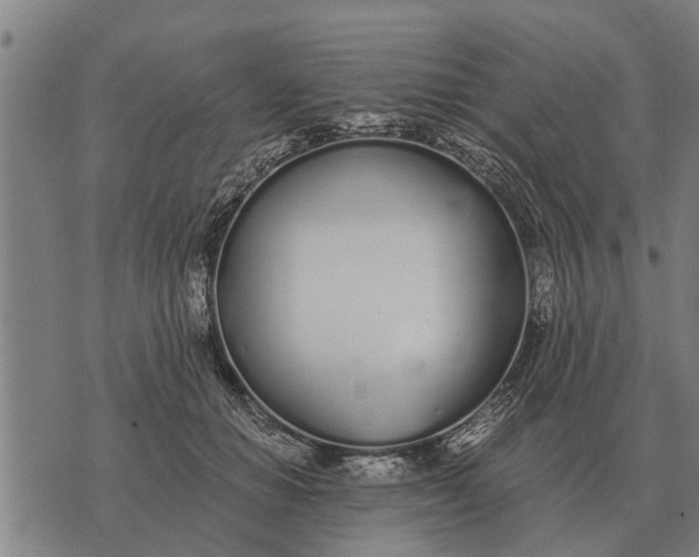 X0000073900654200609011719