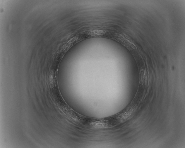 X0000073900655200609011719