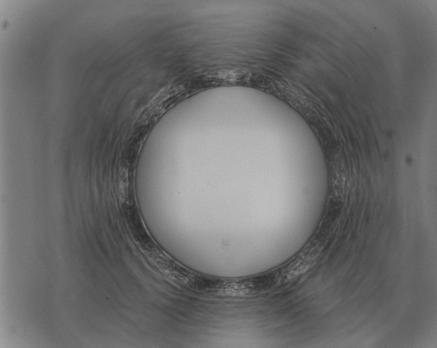 X0000073900656200609011719