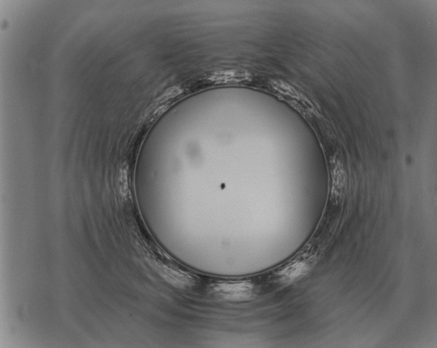 X0000073900659200609011719