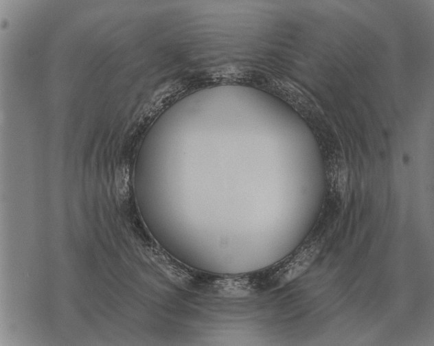 X0000073900660200609011719