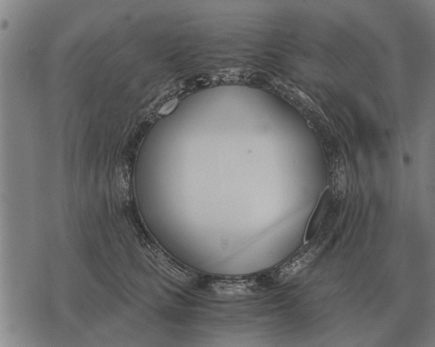 X0000073900661200609011720