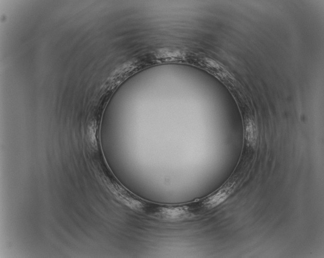 X0000073900662200609011720