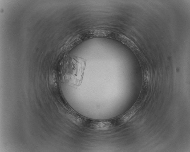 X0000073900663200609011720