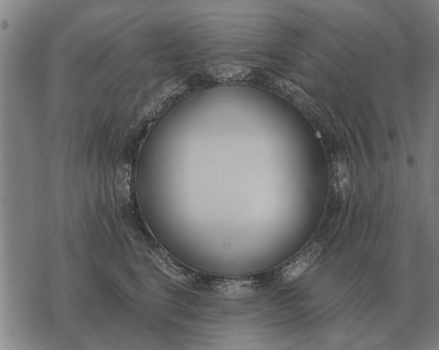 X0000073900664200609011720