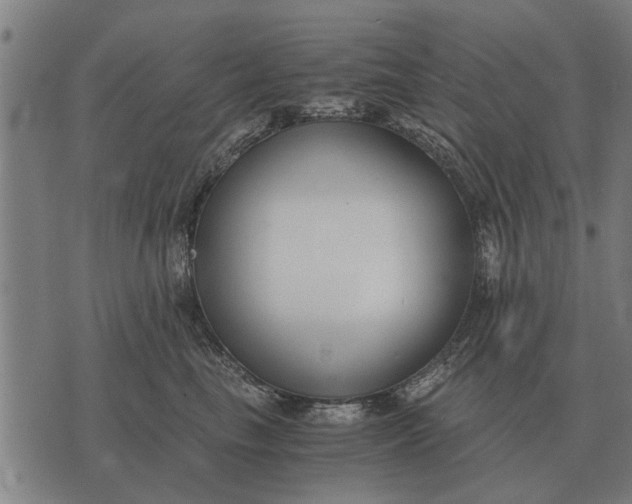 X0000073900665200609011720