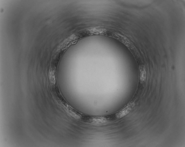 X0000073900666200609011720