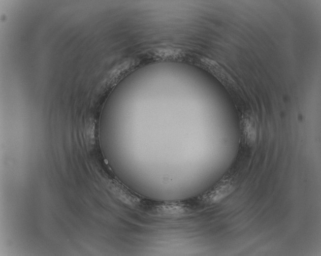 X0000073900668200609011720