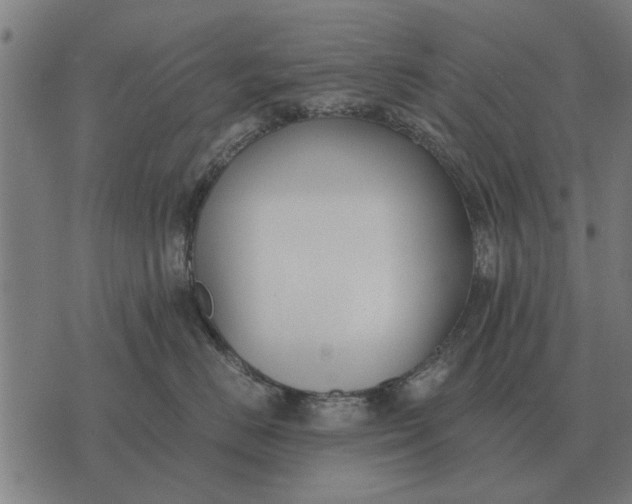 X0000073900670200609011720