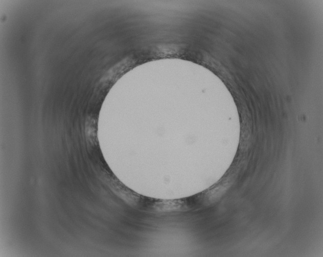 X0000073900672200609011720