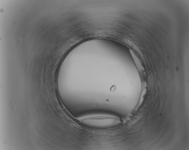 X0000073900673200609011719