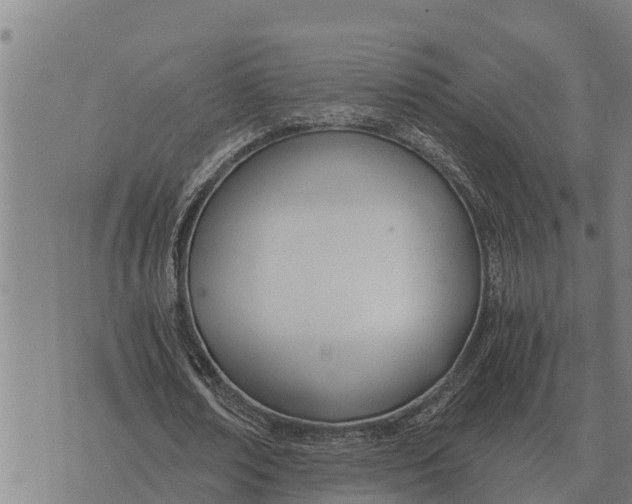 X0000073900674200609011719