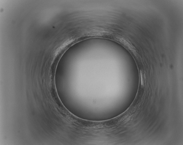 X0000073900675200609011719