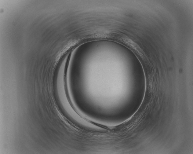 X0000073900677200609011719