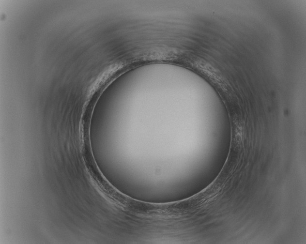 X0000073900678200609011719