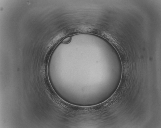 X0000073900679200609011719