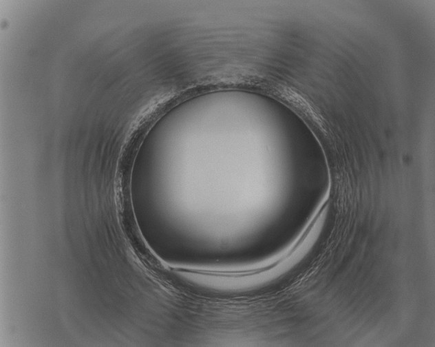 X0000073900680200609011719