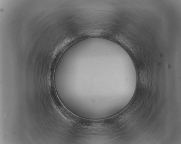 X0000073900682200609011719