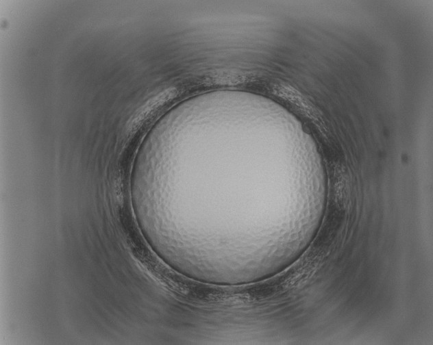 X0000073900683200609011719