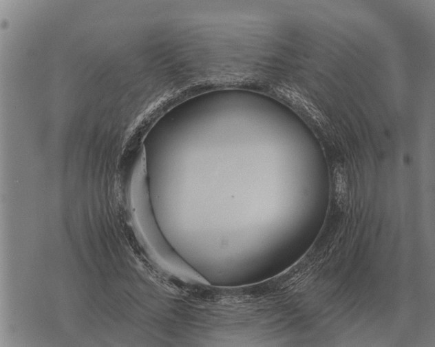 X0000073900684200609011719