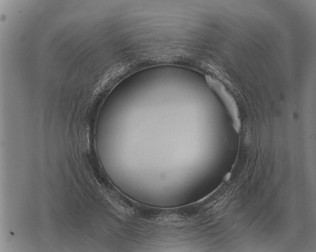 X0000073900685200609011719