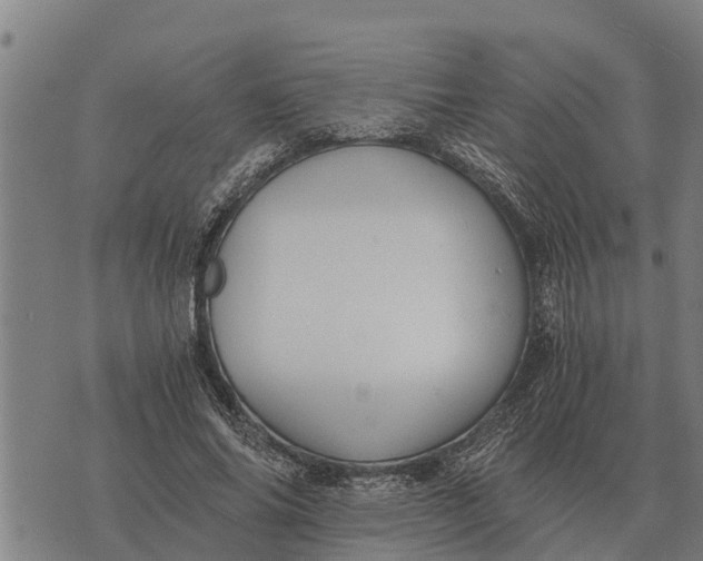 X0000073900686200609011719