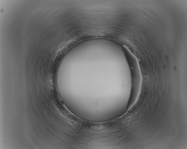 X0000073900688200609011719