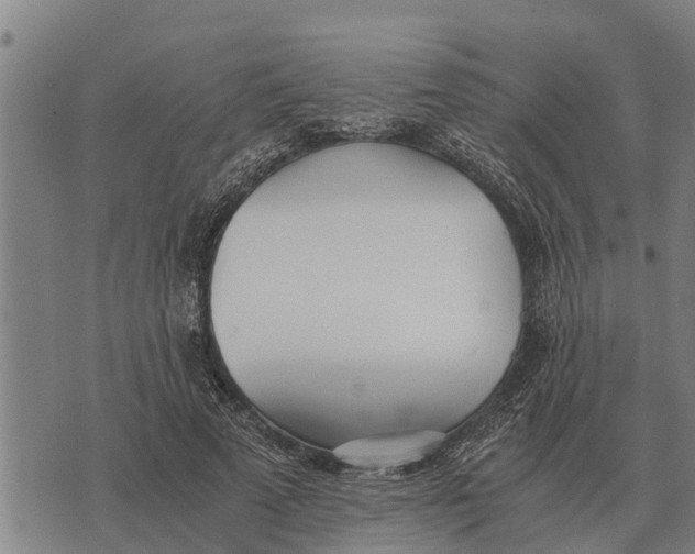 X0000073900689200609011719