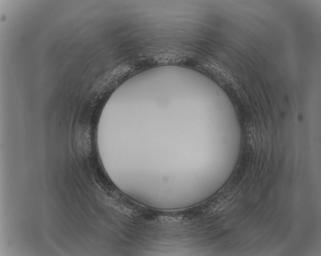 X0000073900690200609011719