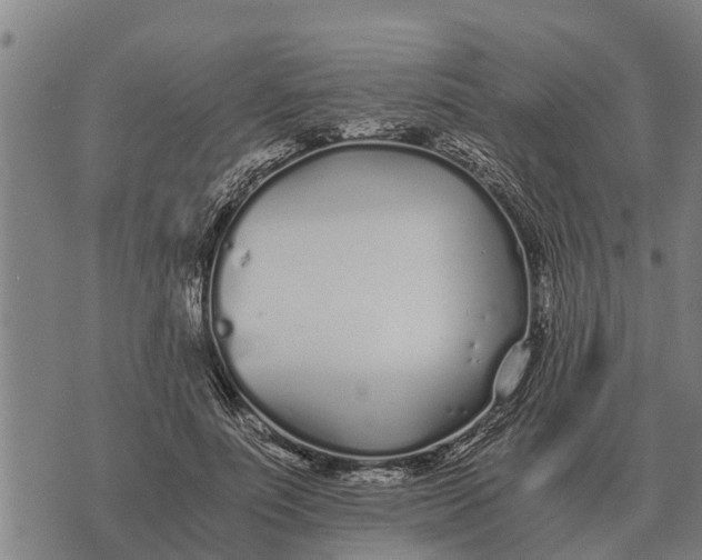 X0000073900691200609011719