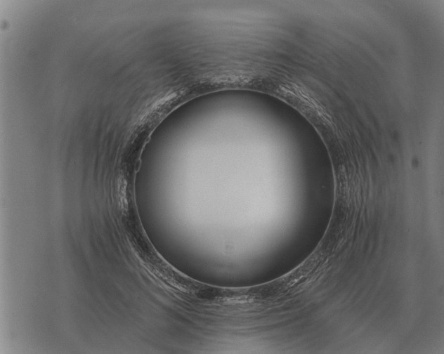 X0000073900692200609011719