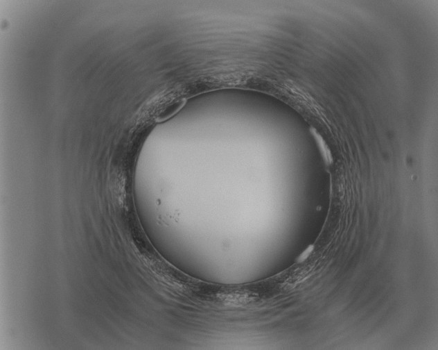 X0000073900693200609011719