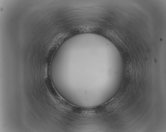 X0000073900694200609011719