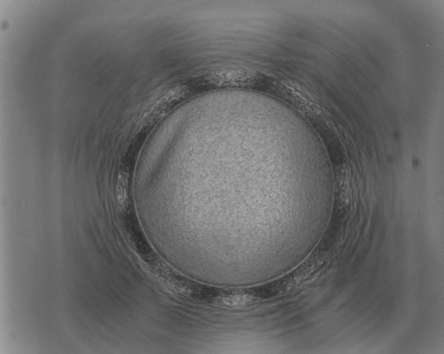 X0000073900695200609011719