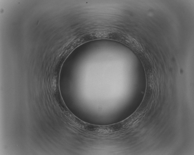 X0000073900697200609011719